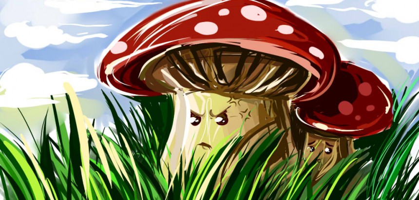 Как избежать риска отравления грибами?