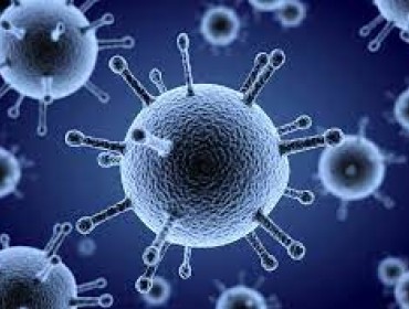Заболеваемость гриппом и ОРВИ на 47 неделе 2022 года