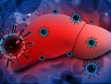 Ученые смогли расшифровать трёхэтапный механизм защиты организма от вируса гепатита В