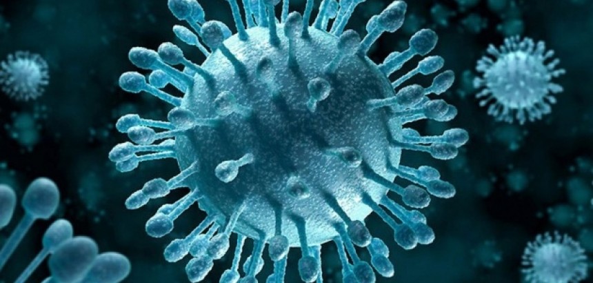 Информация о вирусных гепатитах
