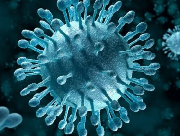 Информация о вирусных гепатитах