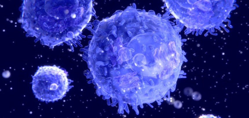 Ученые провели исследование, которое поэтапно показало как ВИЧ связывается с Т-клетками